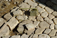 ghiaie natuali multicolore